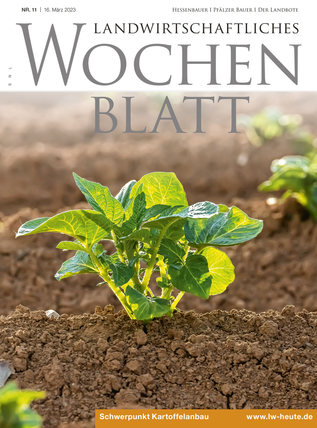 Ausgabe 11/2023