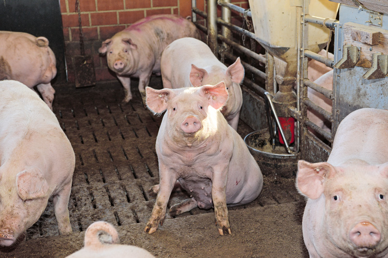 EU-Rat einigt sich auf deutlich höhere GV-Schwellenwerte