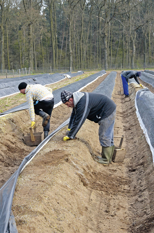 Kritik an Äußerungen Heils über Anhebung des Mindestlohns