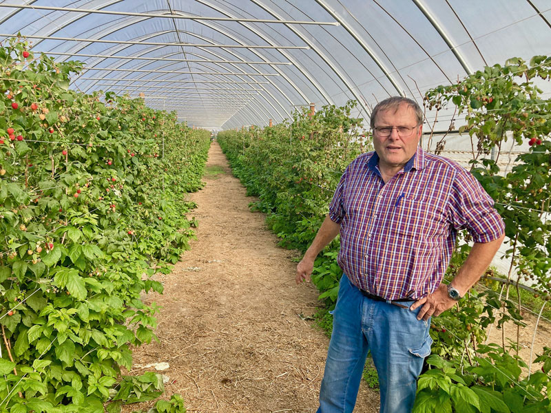 Ein absoluter Spezialist in Himbeeren