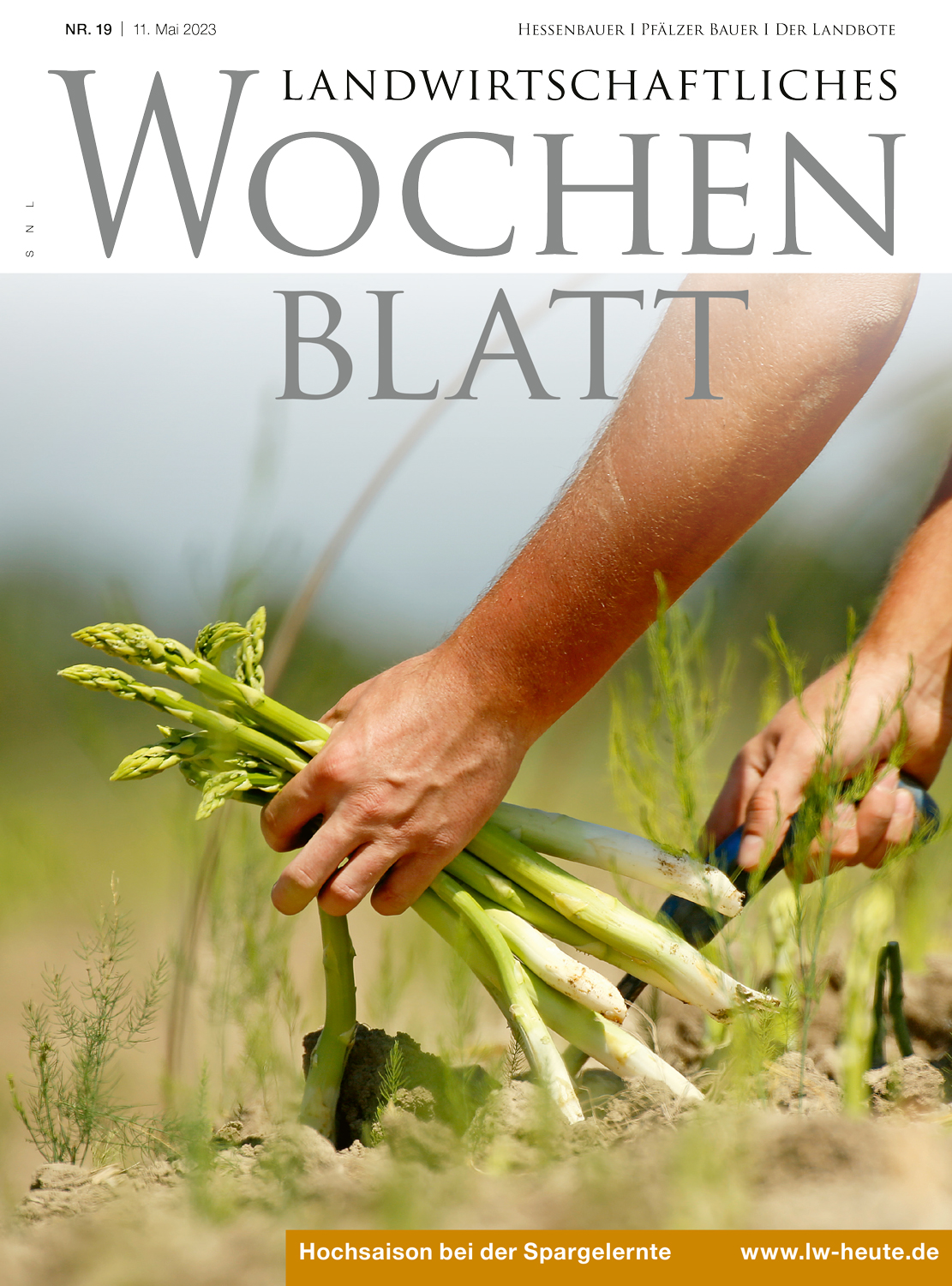 Ausgabe 19/2023