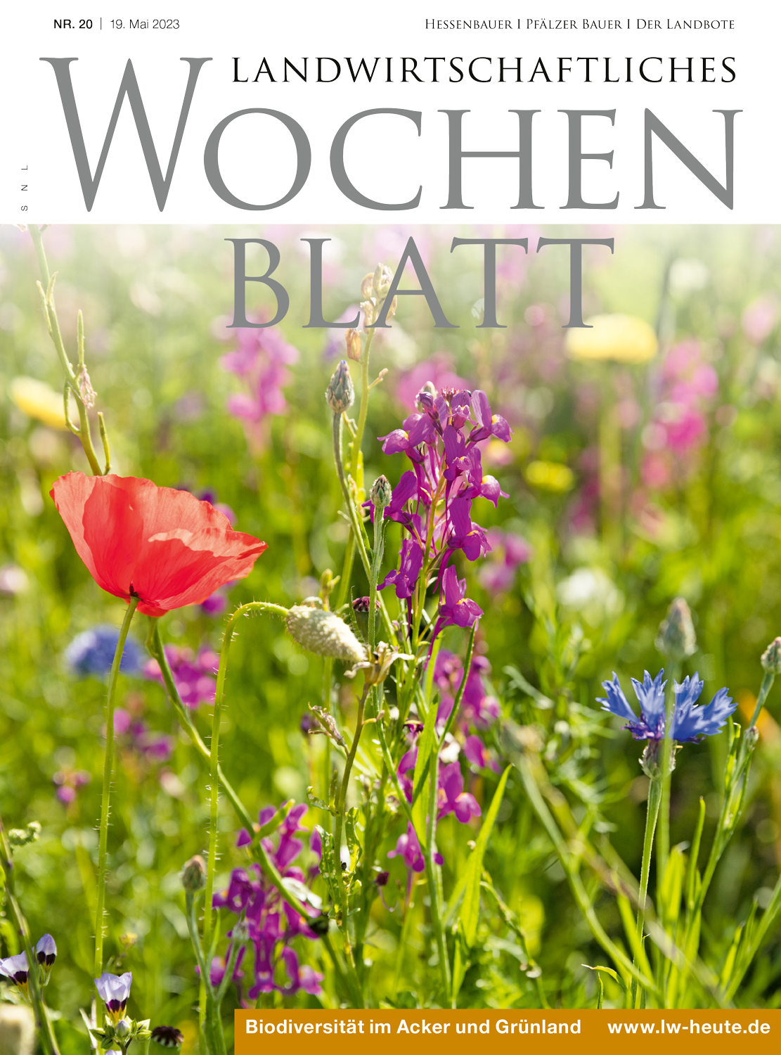 Ausgabe 20/2023