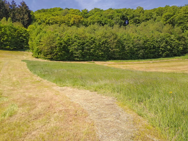 Naturschutz – (öko)logisch!