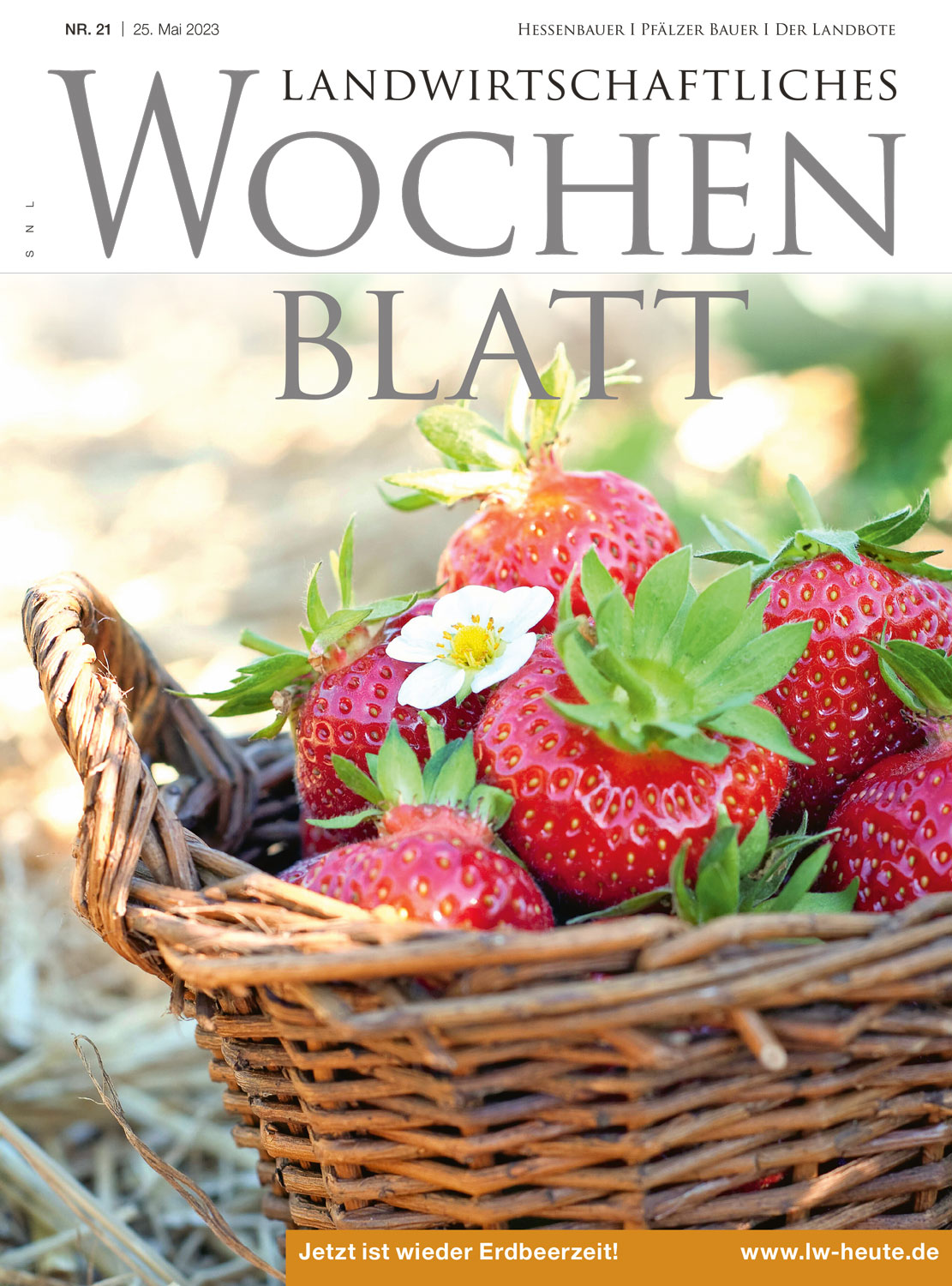 Ausgabe 21/2023