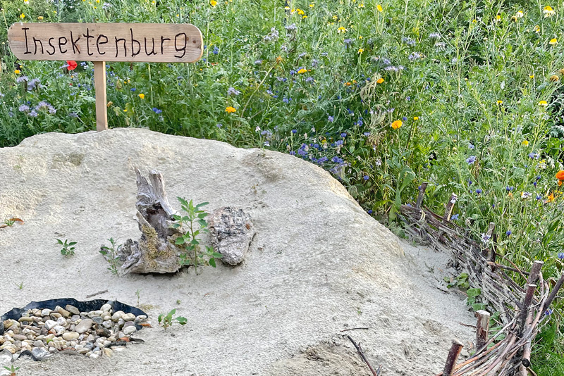 Ein Sandarium für Wildbienen und andere Insekten