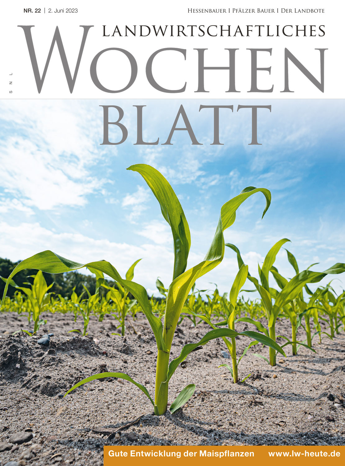 Ausgabe 22/2023