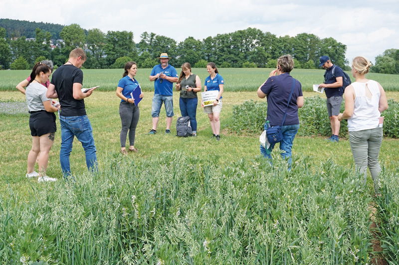 Hessischer Leguminosentag feiert zehn Jahre Eiweißinitiative 