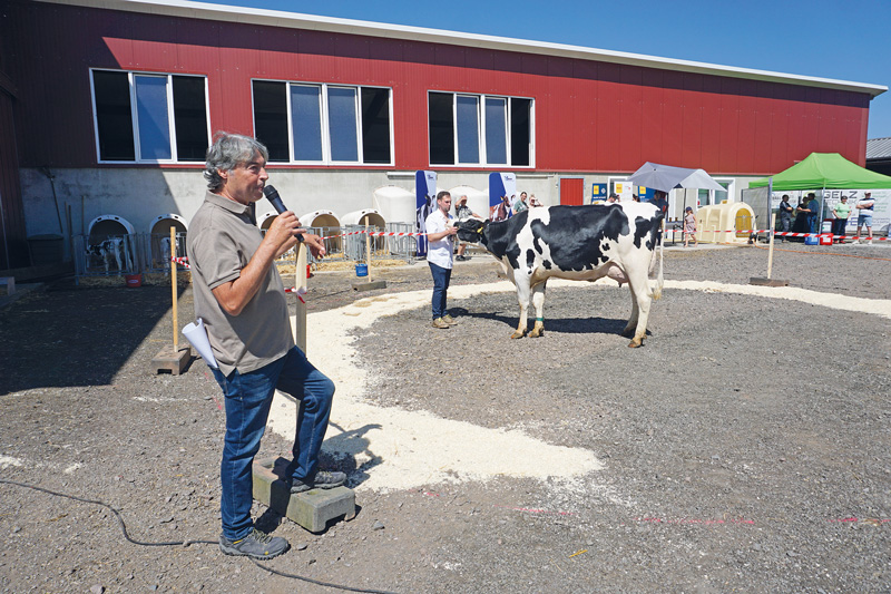 lwheute.de Hervorragende Kühe auf dem Herschberger Aspenhof