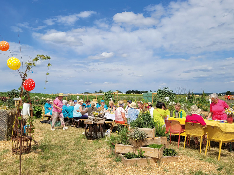 Halbzeit auf der Landesgartenschau