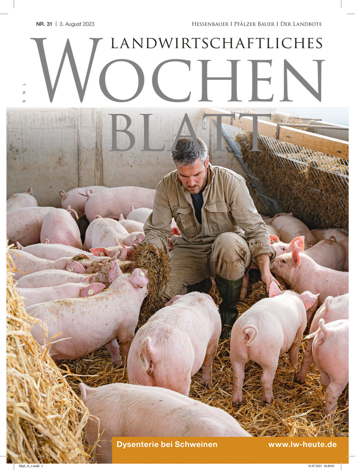 Ausgabe 31/2023