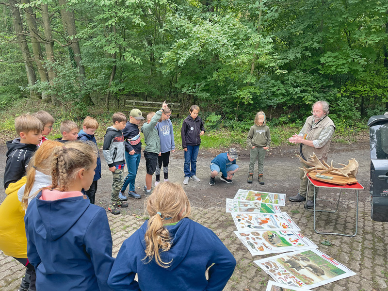 Abenteuer (im) Wald