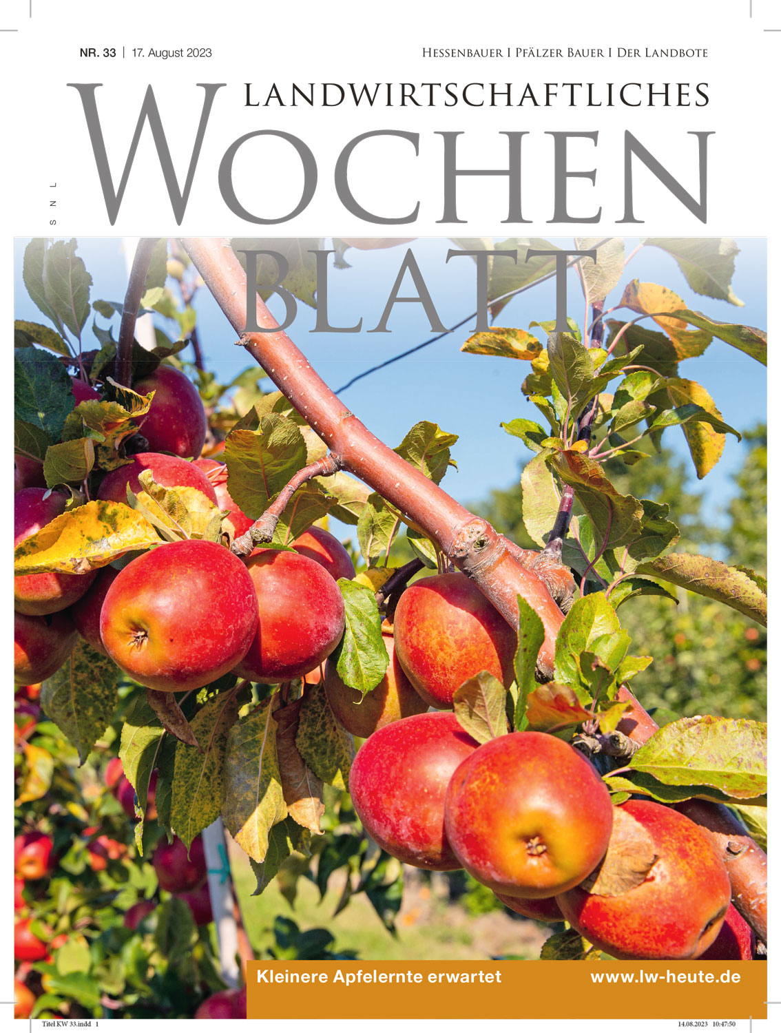 Ausgabe 33/2023