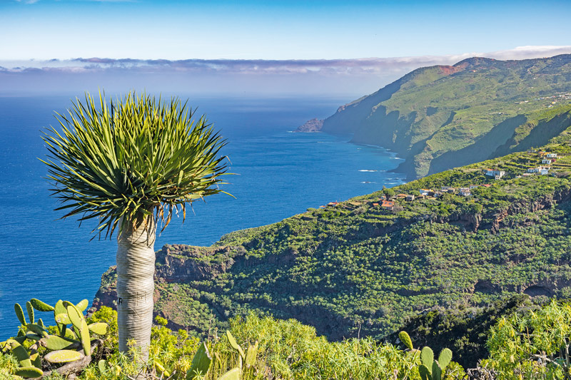 Kanareninsel La Palma erleben
