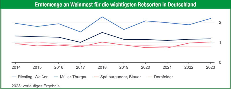 Knapp 9,9 Mio. hl Weinmost des Jahrgangs 2023 erwartet