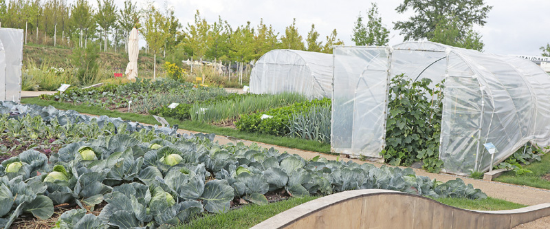 Sanfter Wellenschlag – Gemüsegarten Deutschlands en miniature