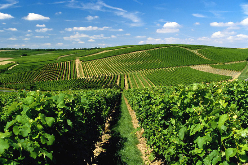 Preisträger Best Of Wine Tourism-Awards 2024