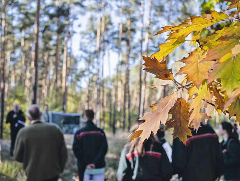 Bundeswald setzt auf zukunftsfähige Mischung