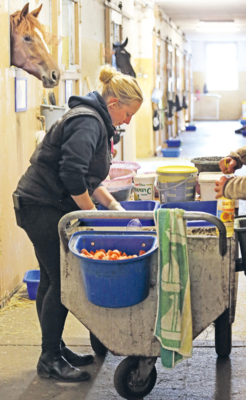 Öl über´s Futter – sinnvoll oder unnötig?