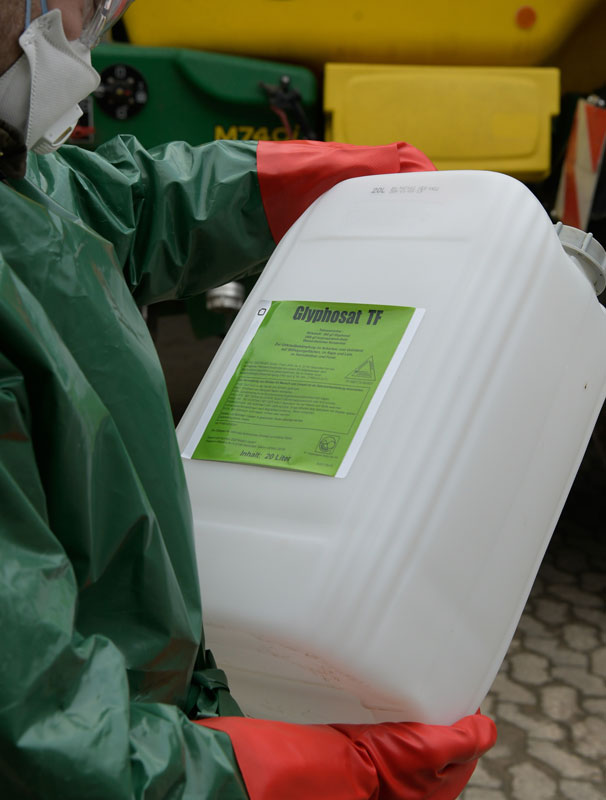 Glyphosat – unter bisherigen Auflagen anwendbar