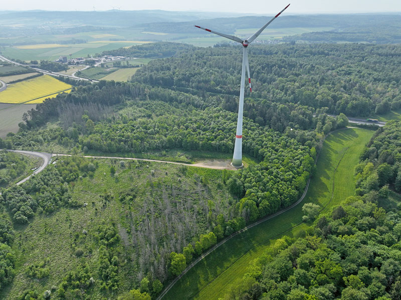 Perspektiven für Windenergie im Wald
