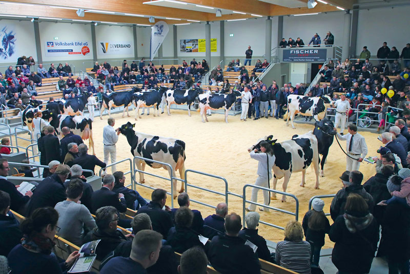 Premiereschau der Züchtervereinigungen 