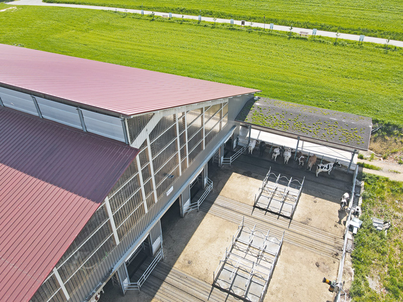 Innovativer Milchviehstall in Baden-Württemberg
