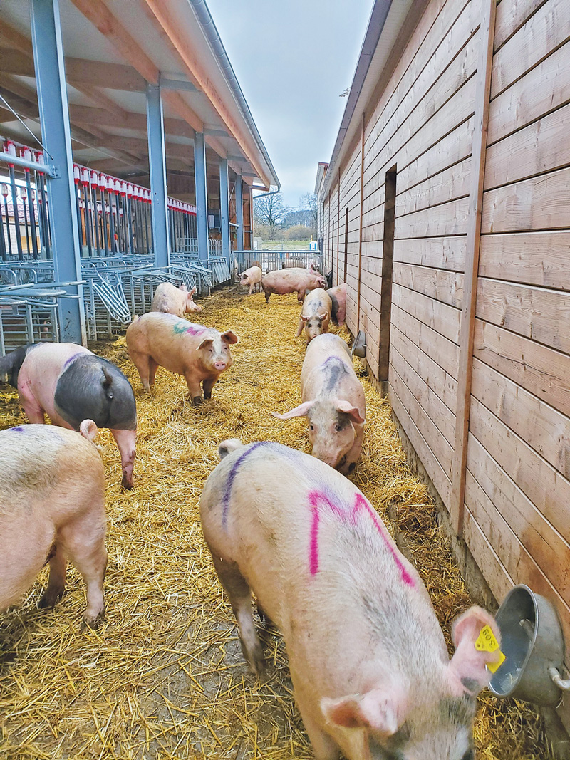 Emissionsminderung auch für Bio-Landwirte ein Thema