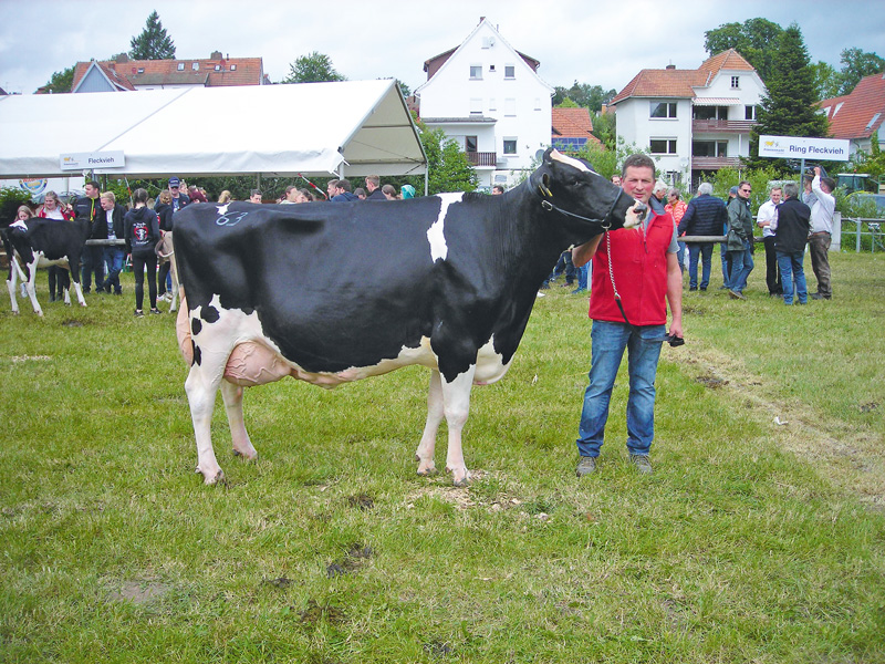 Tierhalter präsentieren große Vielfalt in Lauterbach