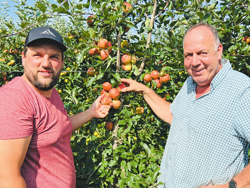 Frühstart in die heimische Apfelernte