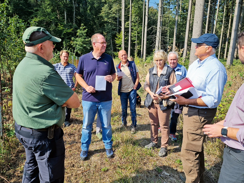 Waldbesitzer wollen mehr Baumarten gefördert sehen