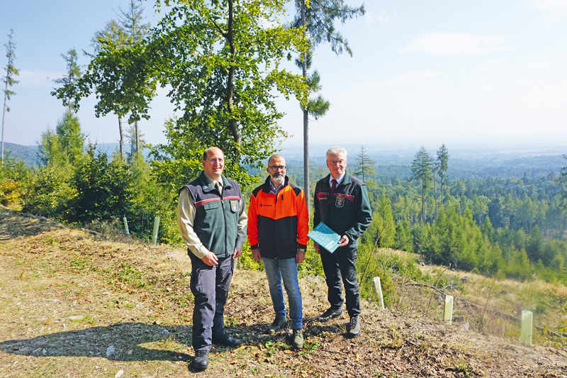 Mit einem an den Klimawandel anpassen Wald wirtschaften 