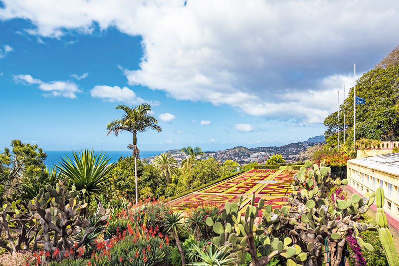 Madeira – die Insel des ewigen Frühlings 