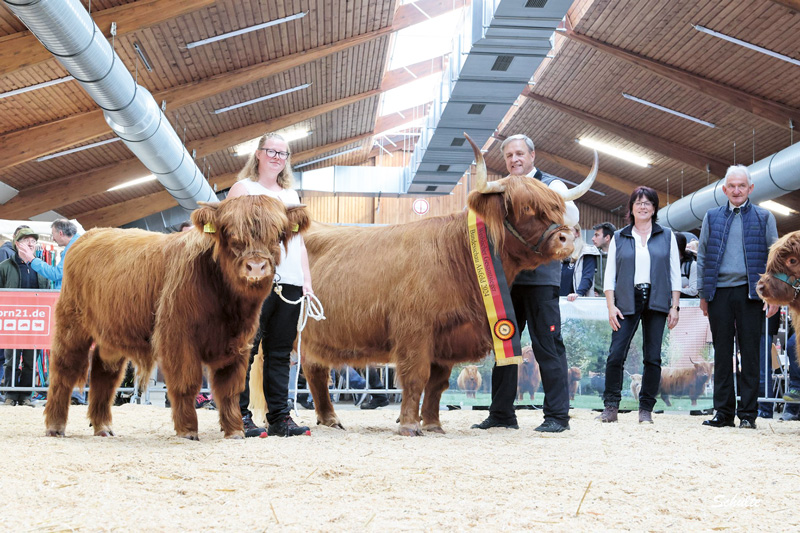 Typstarke und leistungsbereite Highland-Rinder waren im Ring