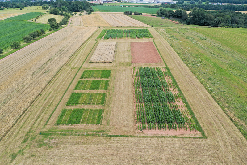 Weniger Düngung bedeutet nicht gleich weniger Nmin