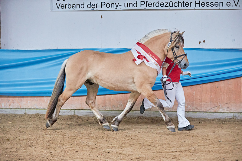 Starke Konkurrenz im Rennen um die Prämientitel