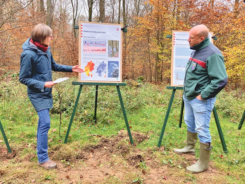 Hessischer Wald vor großen Herausforderungen
