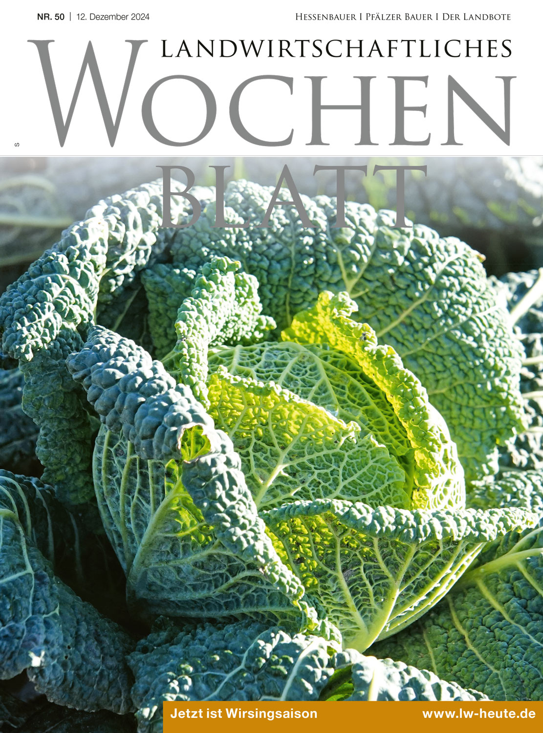 Ausgabe 50/2024