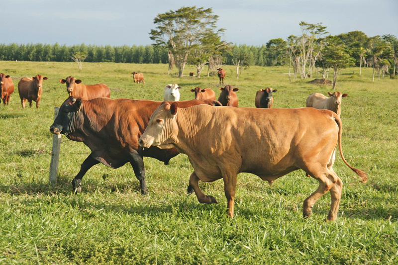 EU und Mercosur einigen sich auf Handelsabkommen