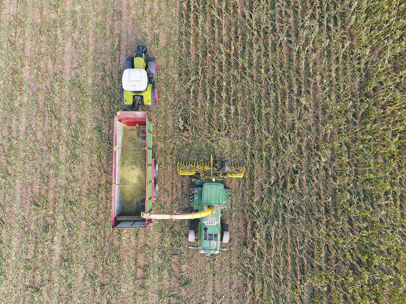 Ein Standort wurde erst im November beerntet