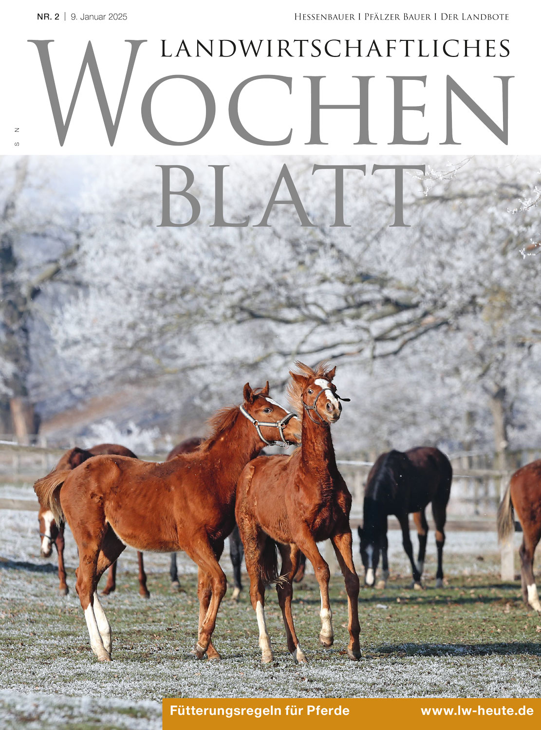 Ausgabe 2/2025