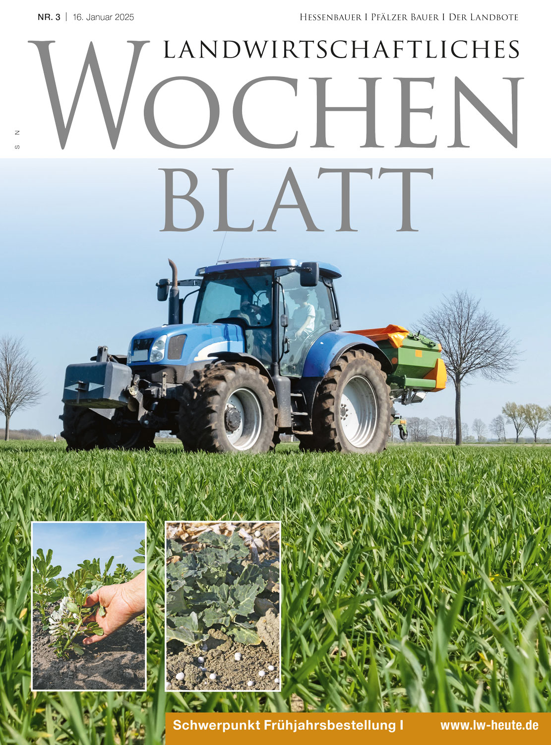 Ausgabe 3/2025