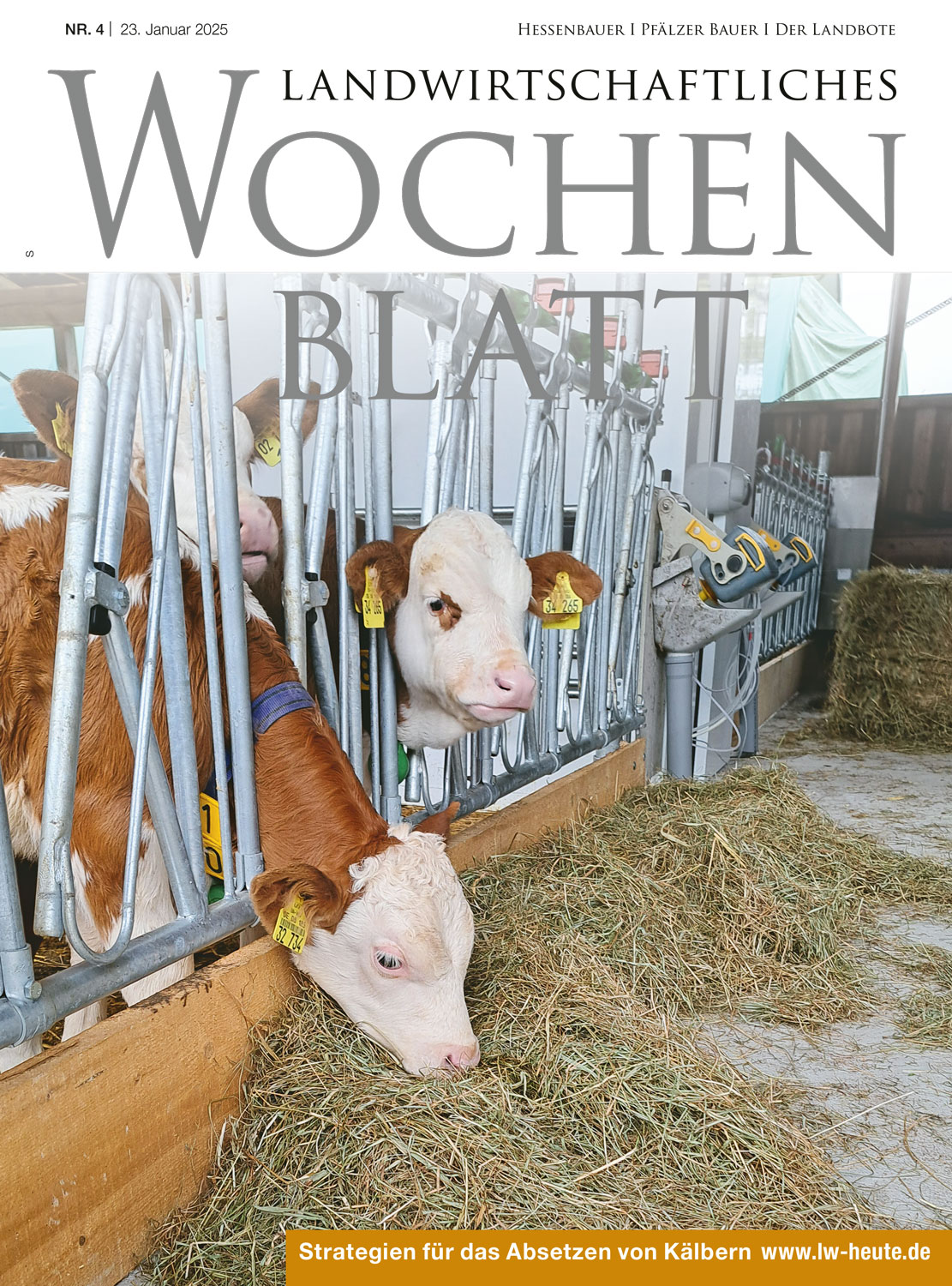 Ausgabe 4/2025