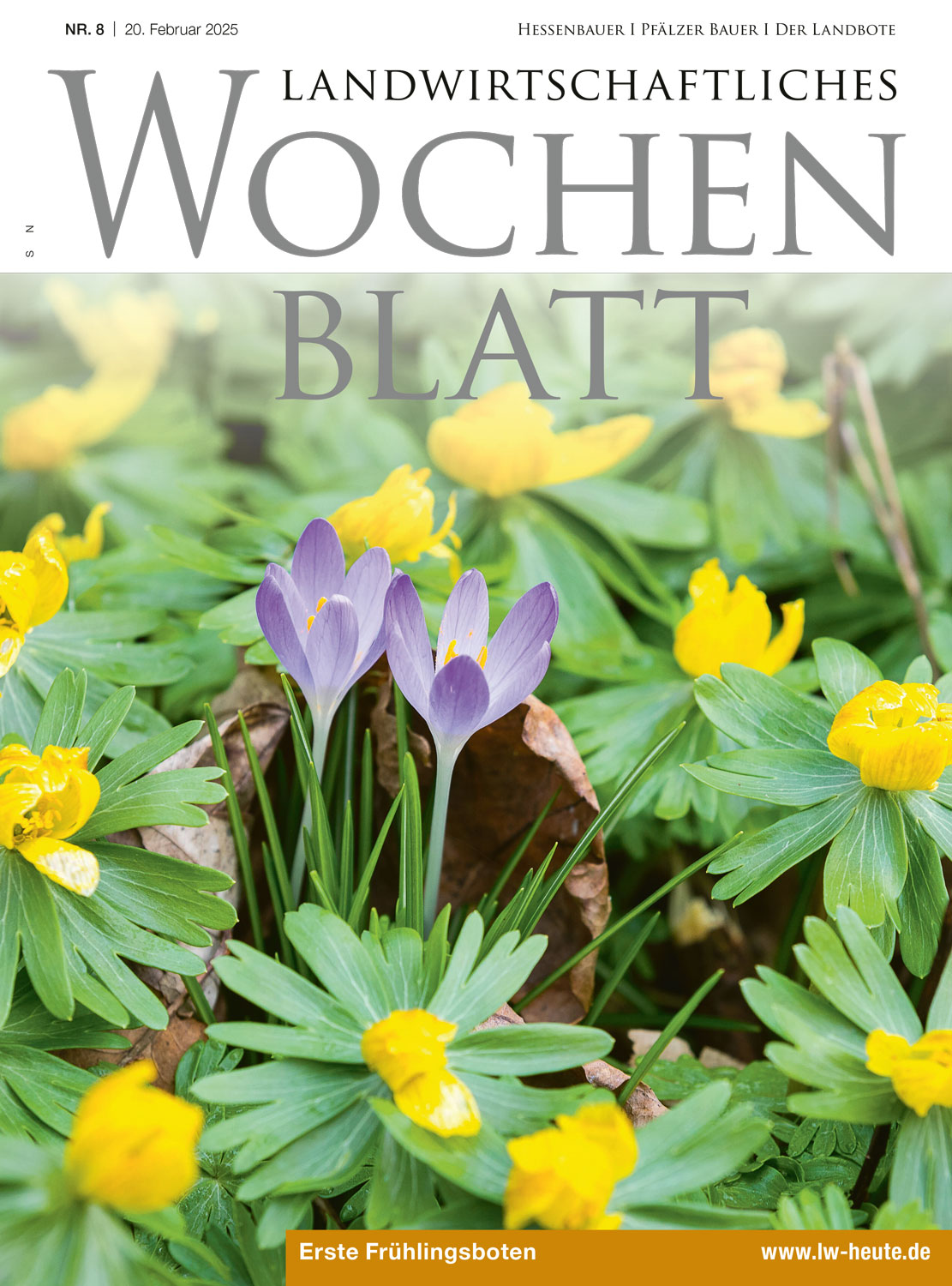 Ausgabe 8/2025