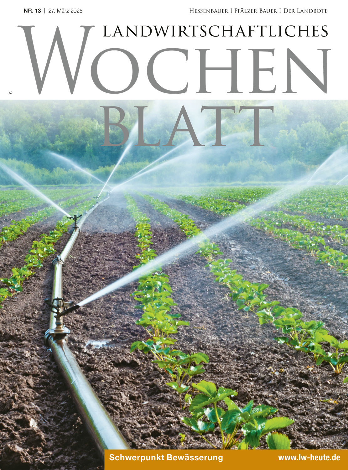 Ausgabe 13/2025