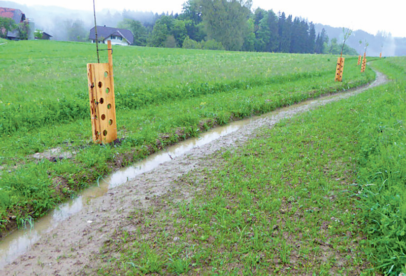 Australier wissen, wie man Wasser auf der Fläche hält