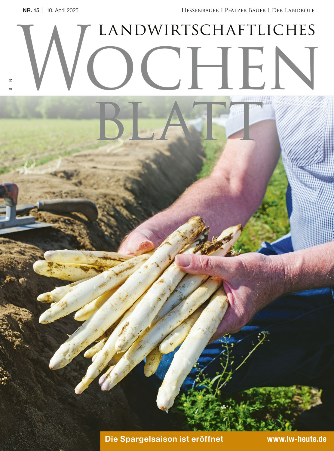 Ausgabe 15/2025