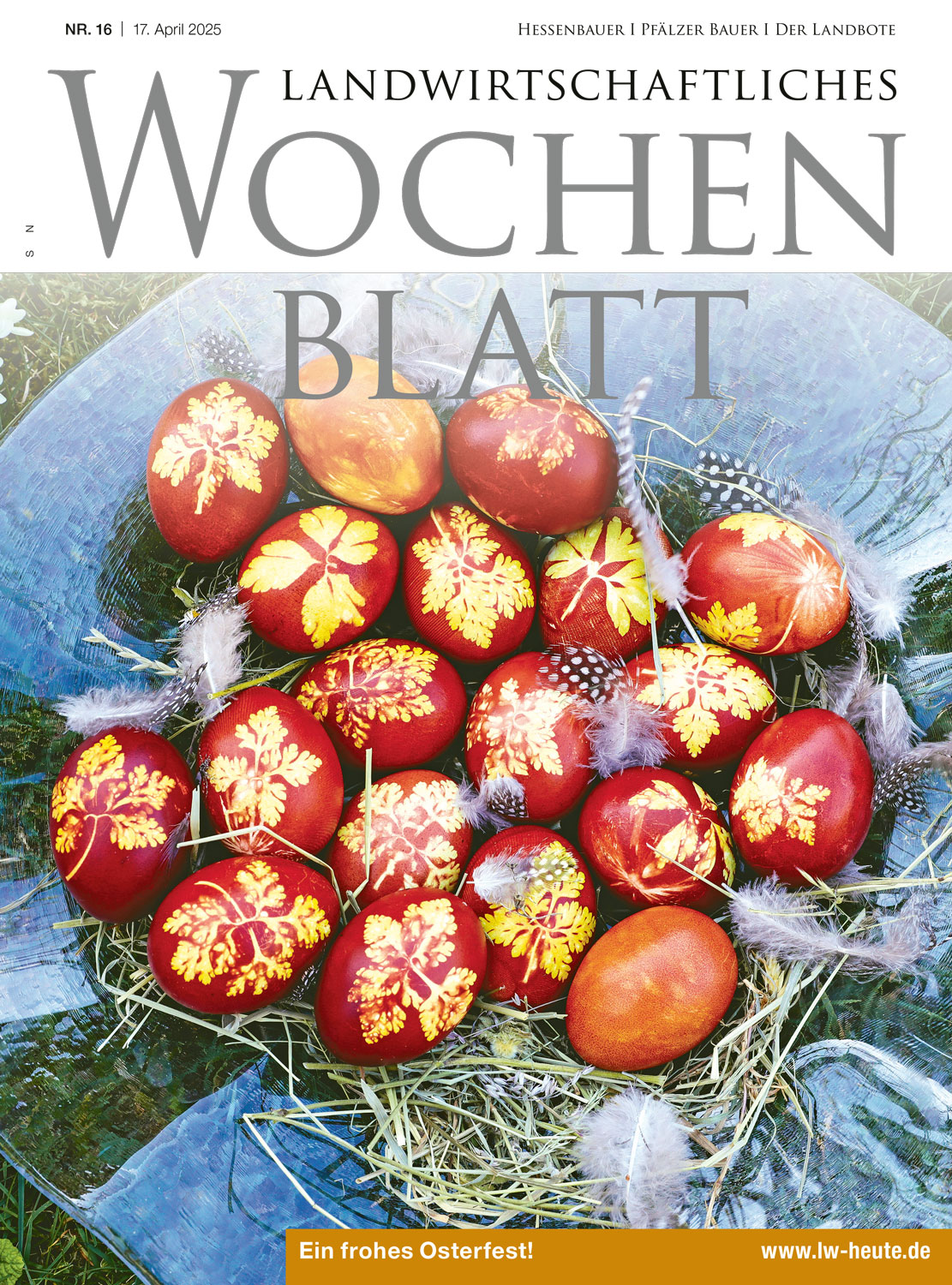 Ausgabe 16/2025