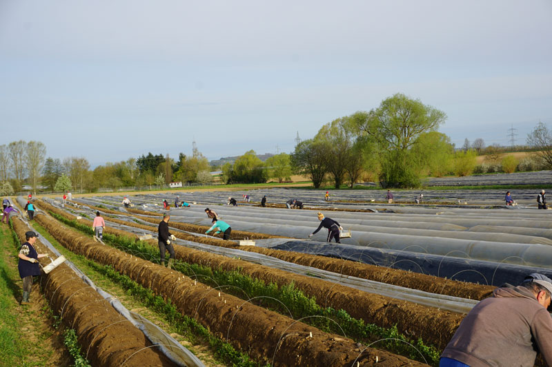 Mindestlohnerhöhung überschattet positive Aspekte