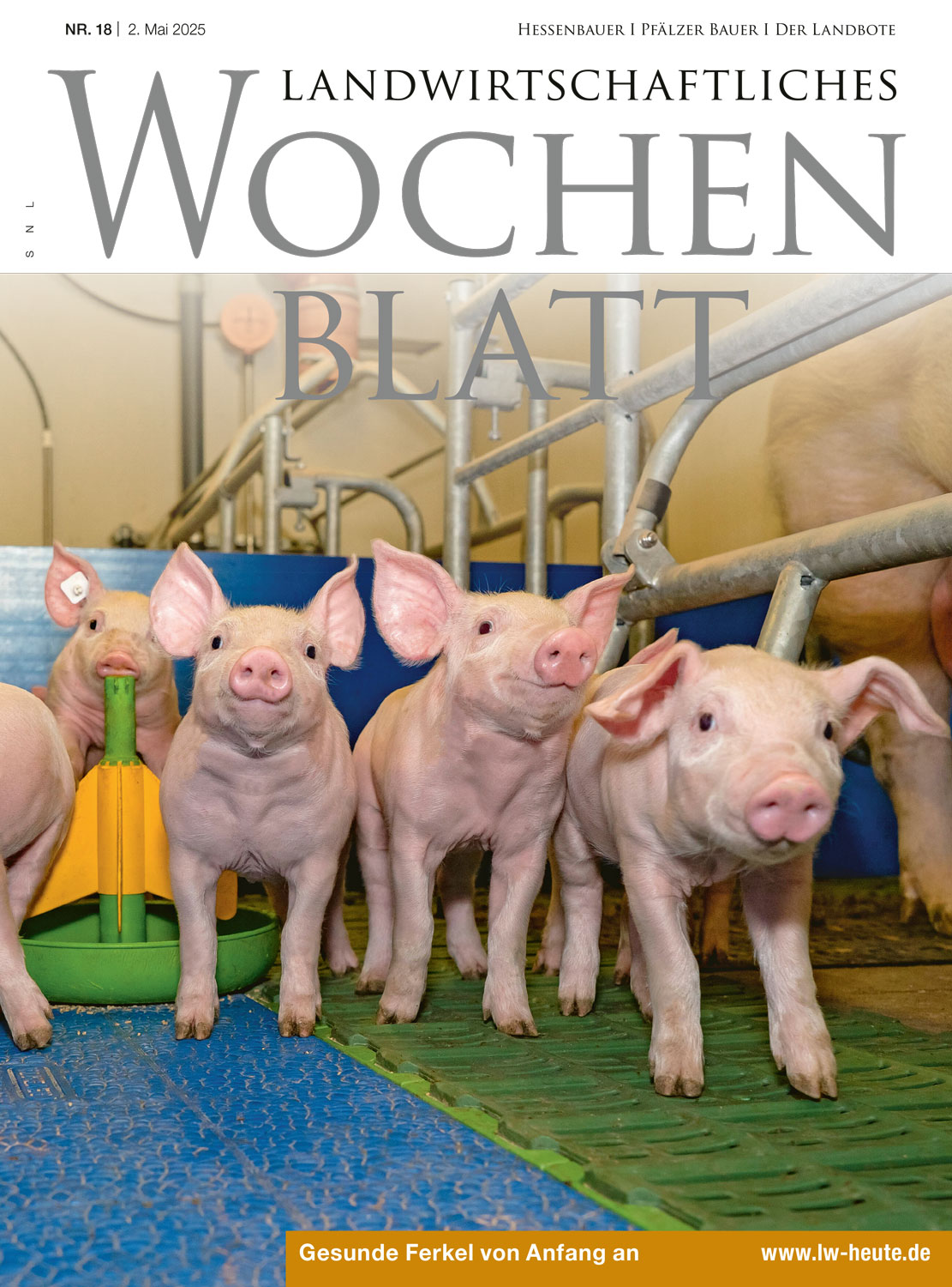 Ausgabe 18/2025