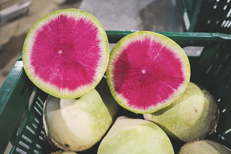 Wassermelonenrettich – Sommerfeeling im Winter